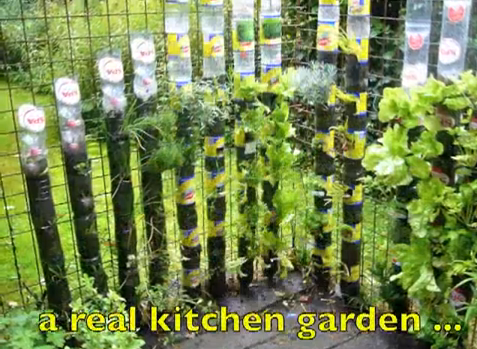 Cómo hacer un jardín con botellas de plástico - Casas Ecológicas