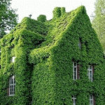 Fotos de casa ecológicas con cubierta y muros verdes.