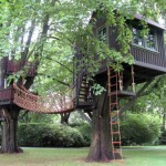 Casa en el arbol, tree house