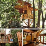 casa de madera en el árbol