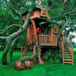Casa entre los árboles
