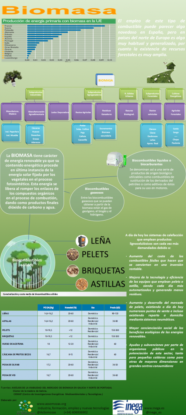 El mercado de la biomasa, infografía