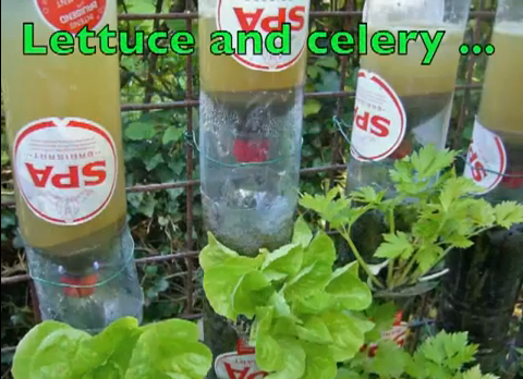 Cómo hacer un jardín con botellas de plástico
