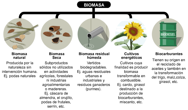 tipos de biomasa 