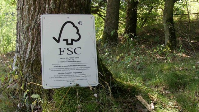 Certificado FSC, qué es y cómo obtenerlo