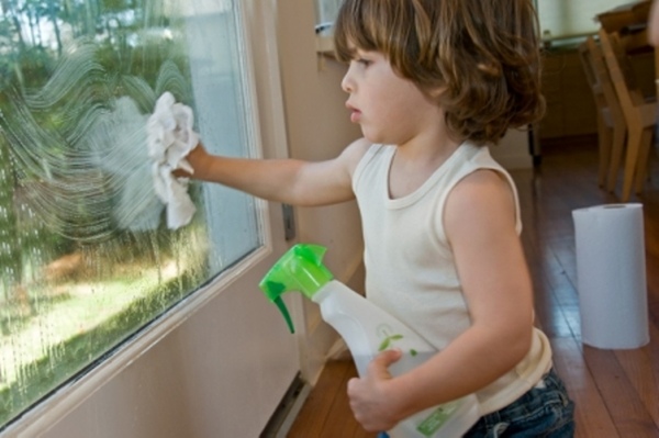 Indispensables para la limpieza ecológica del hogar - Aula Natural
