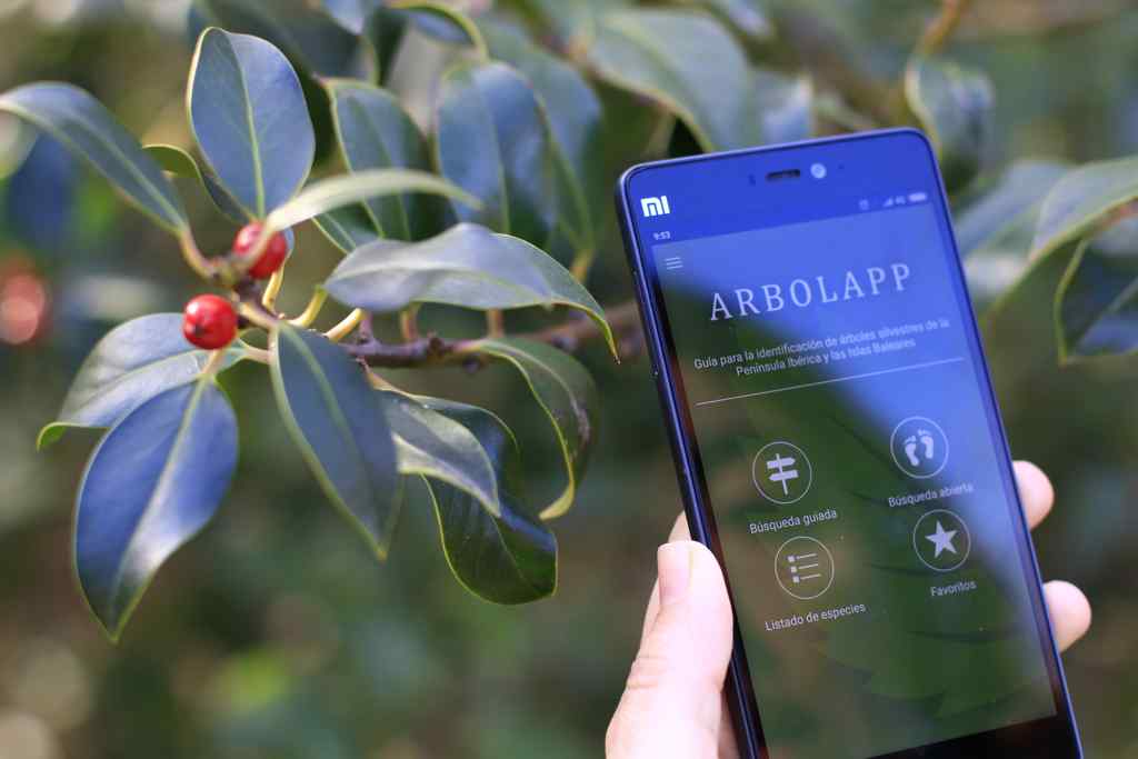 Arbolapp la aplicación para identificar árboles