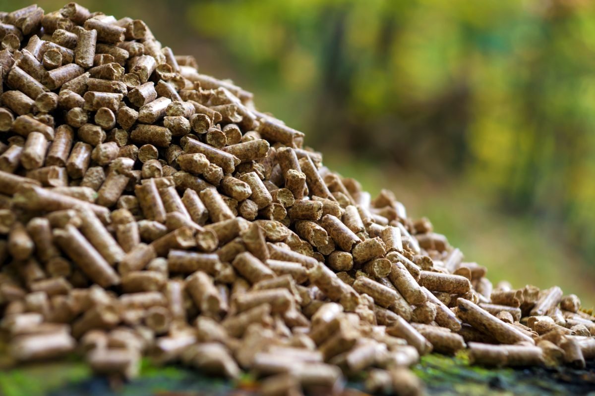 PELLETS: LA NATURALEZA COMO FUENTE DE ENERGÍA